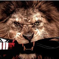 Fsilva (@fmsilva14) 's Twitter Profile