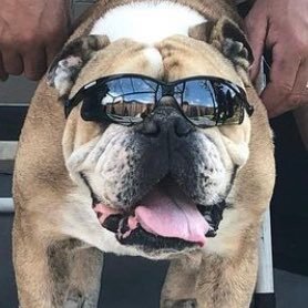 AdrianS83365907's profile picture. Howdy doody people 🤪, names Adrian I’m a chill person and easy to get along with 👍🏽