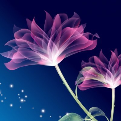 @xingtian991314