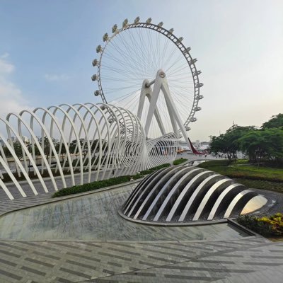 huangqi49828's profile picture. 