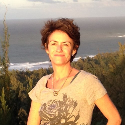 mchestler's profile picture. 