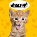 Gail Upton - @gupton - Twitter