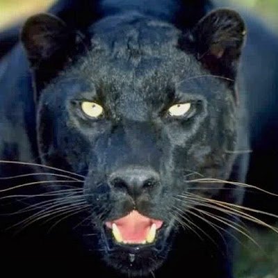 EdgeShain64651's profile picture. 