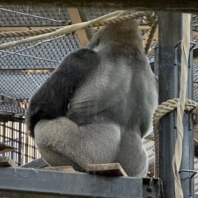 早く異世界転生してチート生活がしたい