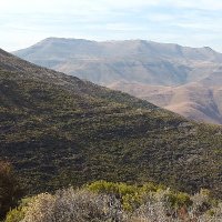 Roof of Africa (@roofofafrica) 's Twitter Profile Photo Roof of Africa (@roofofafrica) 's Twitter Profile Photo