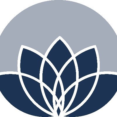 Lotus aims to simplify the day to day tasks for SMEs in Africa, by providing them with an all in one financial product that helps them to succeed.