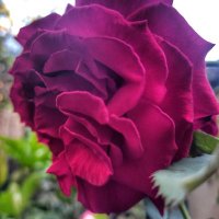 mireia mitjavila (@mireiamitjavila) 's Twitter Profile