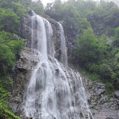 ftc177112's profile picture. 