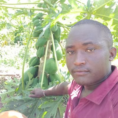 Agriprenuer|AgriTech Enthusiast| Aspire to Inspire Young Farmers| CEO&Founder @FrancisWachaga
