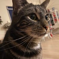 💙 (@lotsofspots2) 's Twitter Profile Photo