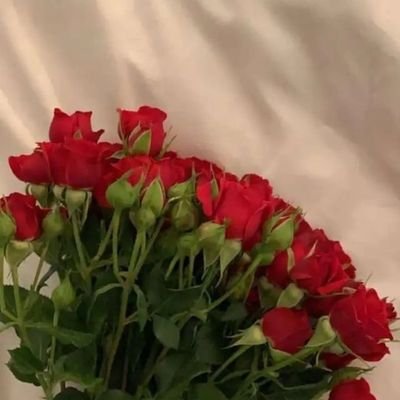 عن ضجيج النّاس وأحداث الليالي المسّتمره
ودي أبعد عن مدىٰ الأنظار لو إني لحالي🙇🏻♀️