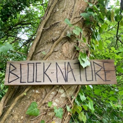 🖼⚜️♻️ NFT collection on Nature. Every pixel has a story to tell. Instagram : blocknature1