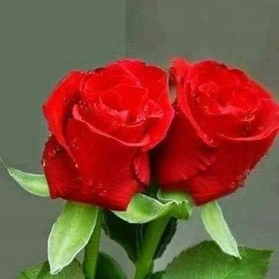 Rehmani11A's profile picture. Fahad Rehmani11 A