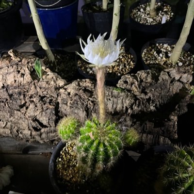 jinghideki57731's profile picture. 毎日を楽しく。体力落ちまくりだけど、ランニングと筋トレ頑張ってます。仕事してても出来るだけ毎日ランニングするように意識してます、情報交換出来たら嬉しいです、よろしくお願いします。