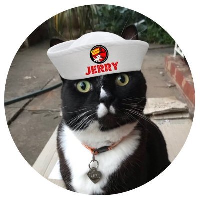 This is my backup account only. My original account @Jerry_Tuxedo has been unlocked. Please follow me there.