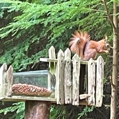 HelenRourke1's profile picture. 