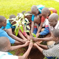 Trees For Life Africa (@treesfla) 's Twitter Profile