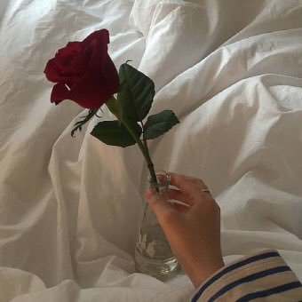 iclo1_'s profile picture. 