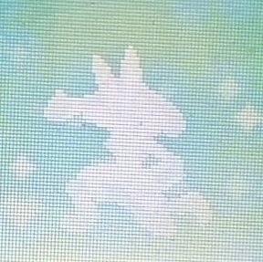 たまさんのプロフィール画像