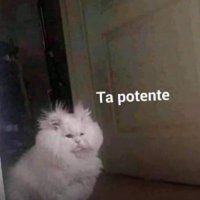 venustrafobico (@macicadotrajado) 's Twitter Profile