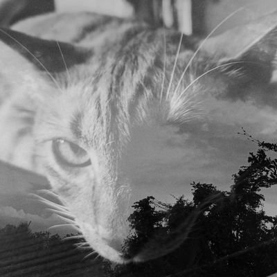wslerry's profile picture. Geospatial