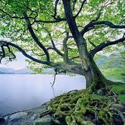 rhjs1982's profile picture. 