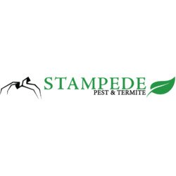 Stampede Pest Control delivers effective pest control for homes in Cypress, Prosper, McKinney, Dallas, Houston, and Austin, TX.