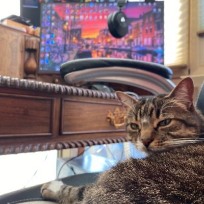 AndrewUchiha25's profile picture. Solitamente mi faccio domande🫤