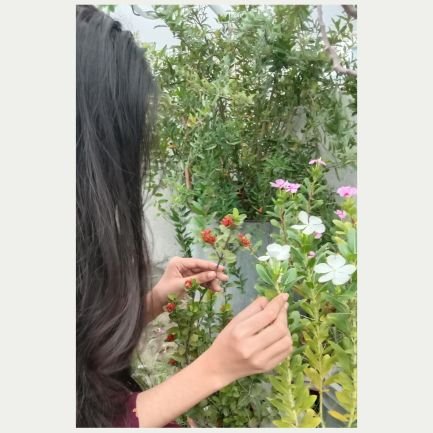 azmery_islam's profile picture. 