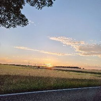 xRainZz14's profile picture. 