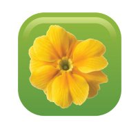 Euxton Primrose Hill (@euxtonph) 's Twitter Profile Photo Euxton Primrose Hill (@euxtonph) 's Twitter Profile Photo
