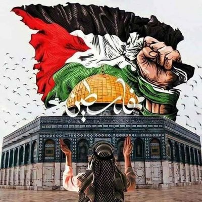 فلسطيني الاصل 🇵🇸
كويتي المولد 🇰🇼
يمني الاقامة 🇾🇪
والعشق الاكبر للعراق 🇮🇶
والقلب معلق في سوريا 🇸🇾