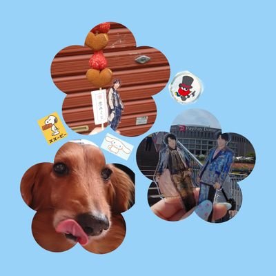 yasue_sn0615's profile picture. Nissy(AAA)💋/💎SixTONES(樹)🦁💙/⛄Snow Man💙❤️/WHITE JAM🐰/徳島♬ 一応,管理栄養士♬*
