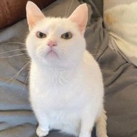 い (@rmi000006) 's Twitter Profile