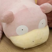 リオン (@kyjtrion) 's Twitter Profile