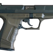 My P-99
