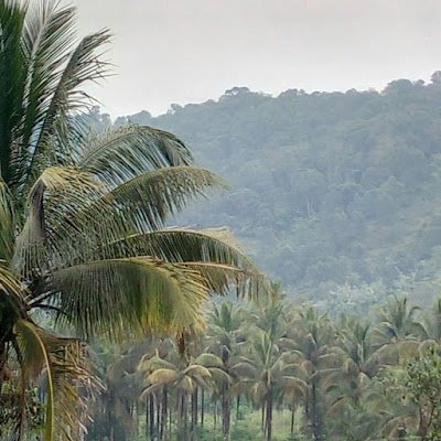 shabeerbs21's profile picture. 