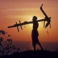 Vijay Jareda (@vijayjareda6) 's Twitter Profile Photo Vijay Jareda (@vijayjareda6) 's Twitter Profile Photo