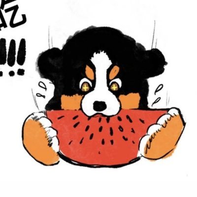 Jiutir's profile picture. 177/82 喜熊喜壮喜反差 伪主