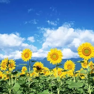 NitinSuvarna8's profile picture. If I loved you less, I might be able to talk about it more.