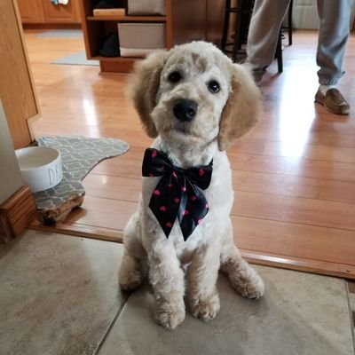 rpmtwtacc23's profile picture. 