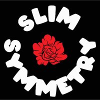 Slim Symmetry(@SlimSymmetry) 's Twitter Profile Photo