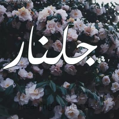 أما الهوى فأنا وحدي حبيب (علي)... نقطتي ياء في آخر اسمك... ❤️ في غيابت الحب ❤ يوماً ما ستفهم كيف للإنسانِ أن يهجُر وطناً كبيراً لأن وطناً صغيراً هَجره