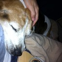 Hector centeno - @hector_zen - Twitter