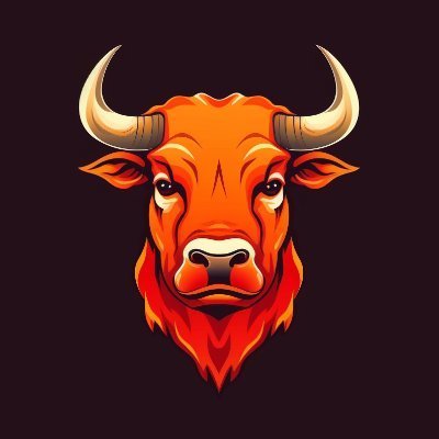 Bullrun is a meme token on BNBCHAIN. Bullrun will create a platform for chasing the lastest and greates bullrun in meme markets