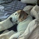 Hector Centeno - @hcentenoHM - Twitter