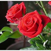 يارب (@lfkyrb624553) Twitter profile photo