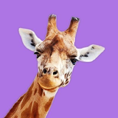 Herr Giraffe (euer erfundener Freund)