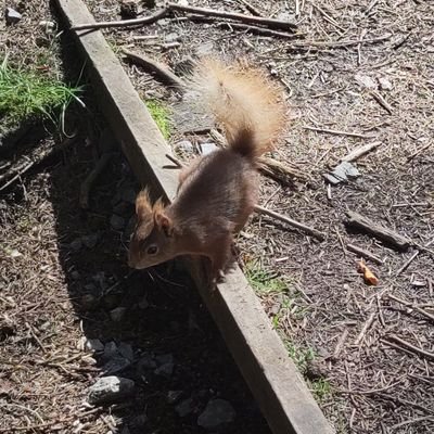 she/her
Restoring peatlands 🏞️ bog moss enthusiast 🌱 nature lover 🪺🪻🍄 and vegan 🐸
Everyone welcome! 🏳️‍🌈🏳️‍⚧️❤️🧡💛💚💙💜🤎🖤🤍🩷🩵🩶🦄✨