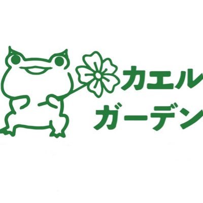 カエル専門店(カエルの繁殖、卸売り、販売) ネット商品はここで https://t.co/wvIyzb0TQ3